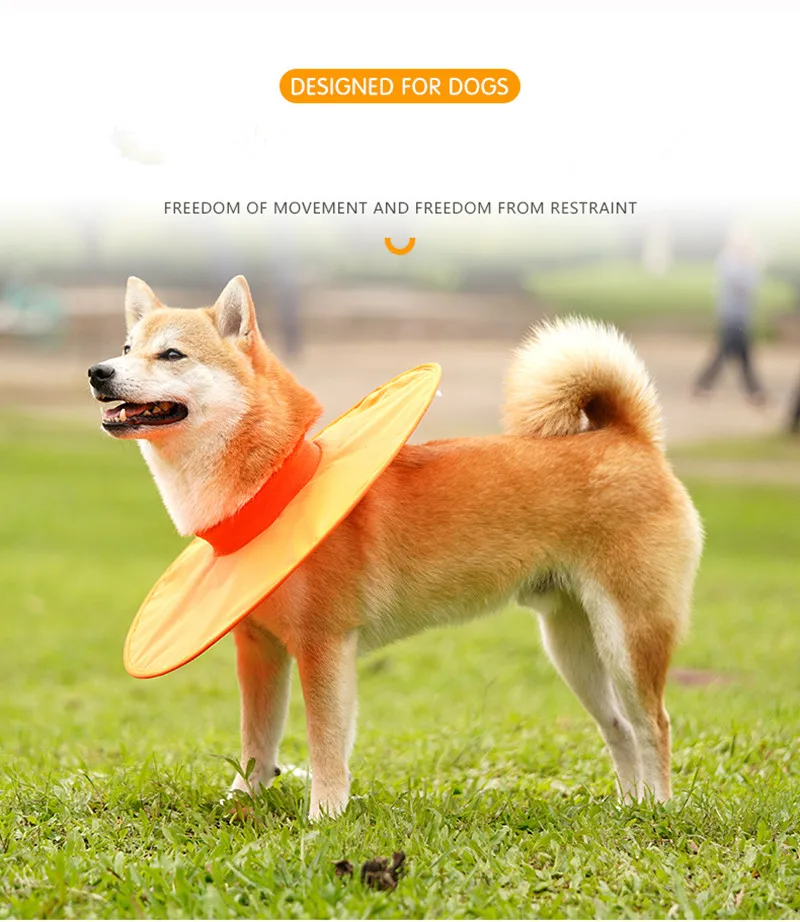 2024 Hot selling Custom Color Elizabeth Color for Dog Circle Collar Neck Ring Anti-Licking or Anti-biting