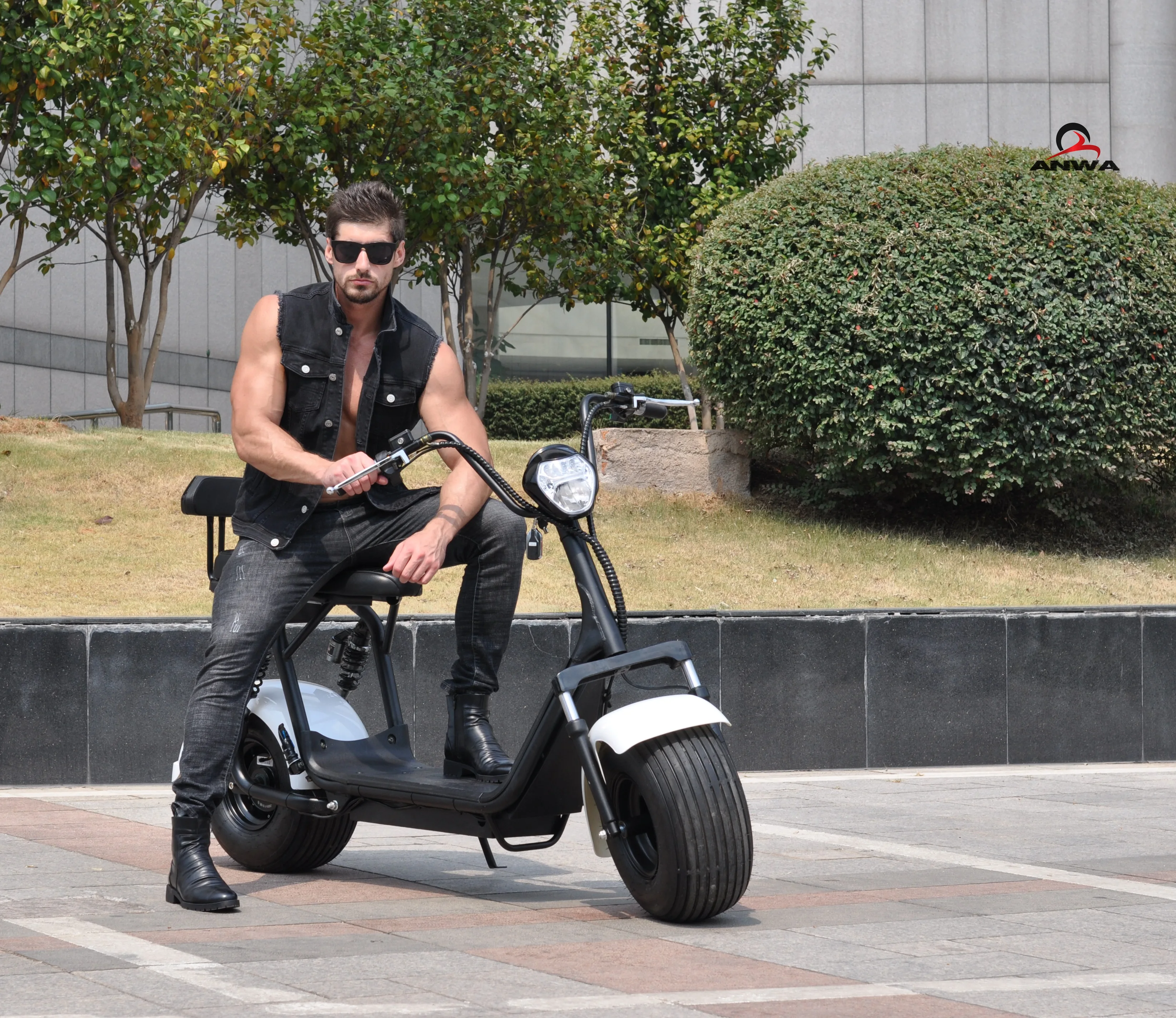 Newest Electric Scooter Parts 1000w Citycoco 60v/12Ah Fast Electric Motorcycle