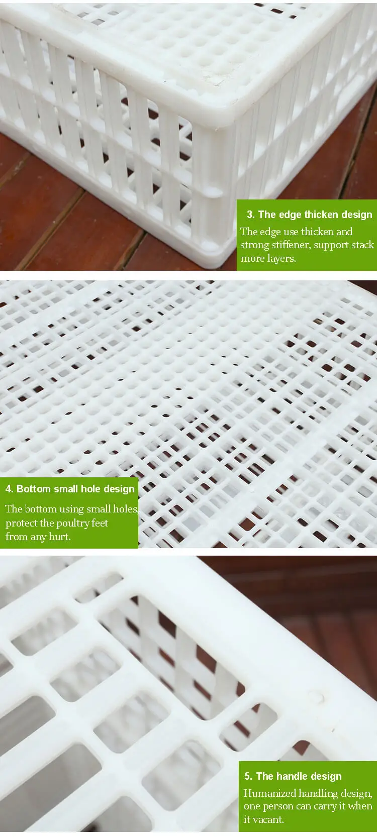 broiler cage (3).jpg