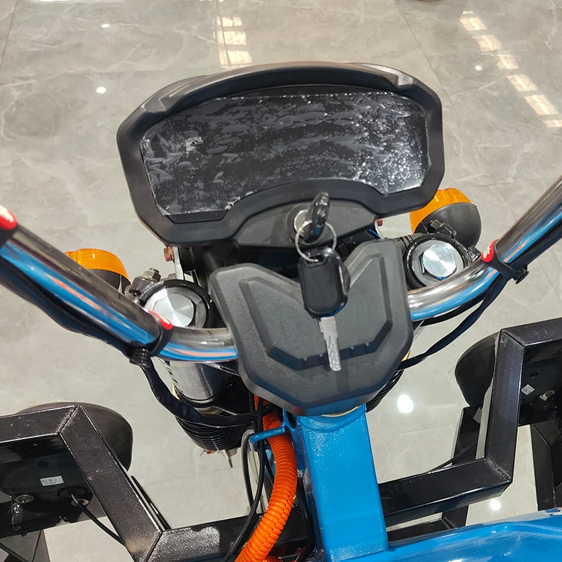 Automatic Reverse Electric Tricycle Ce 60V 1000w Cargo Electric Tricycle for Adult 2 Battery