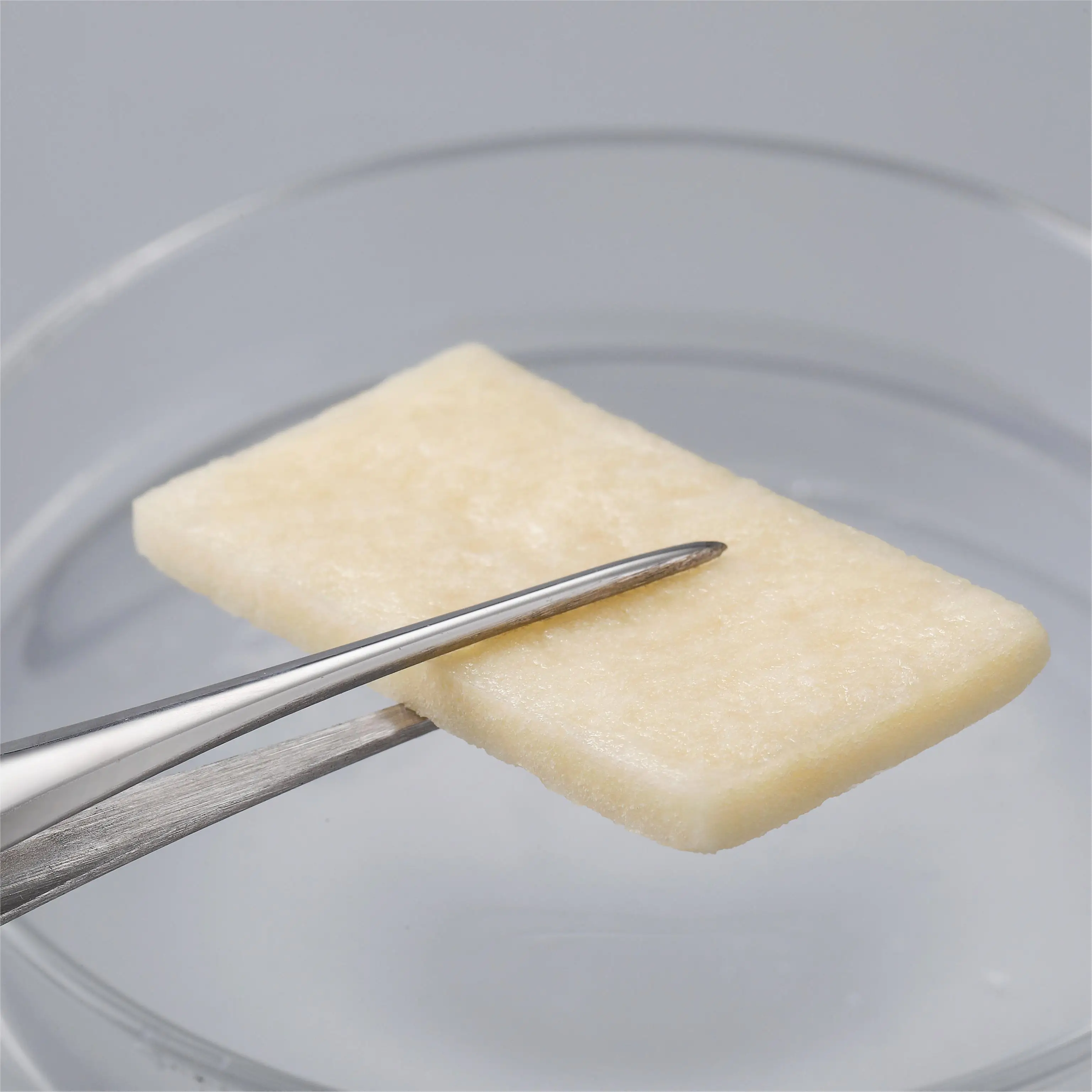 Osteoconductive Degradable Collagen Bone Graft Material Synthetic Bone Periosteum Bone Membrane Fusion