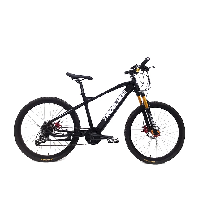 Factory Cheap Price 36V/250W 7.5 A 26 Inch Electric Bike E Bicycle E Bike
