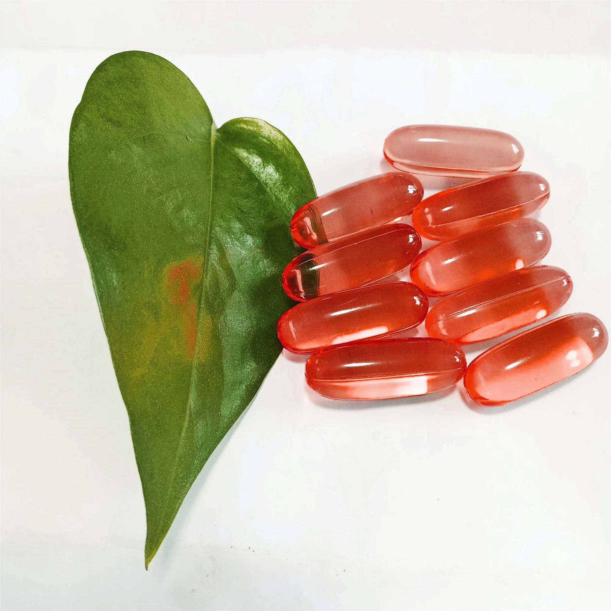 
Private label Organic Pure Mct coconut oil soft gel 