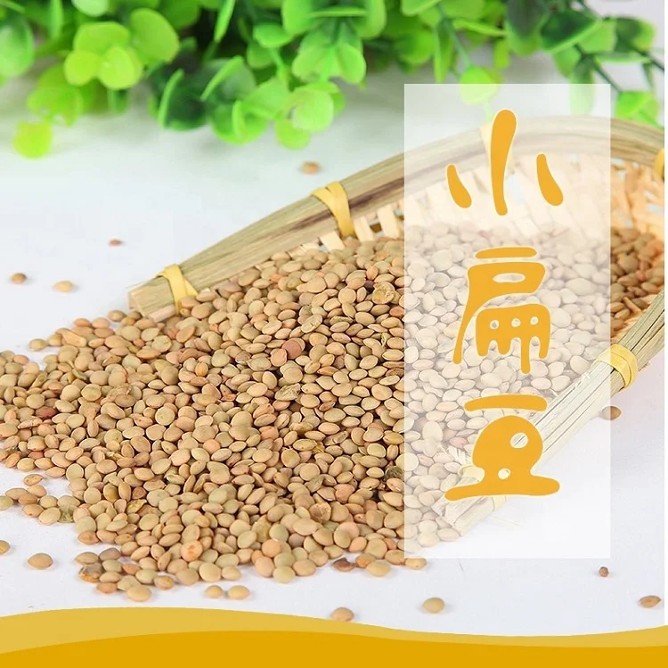 New crop  high quality of Chinese Dried Green Lentils