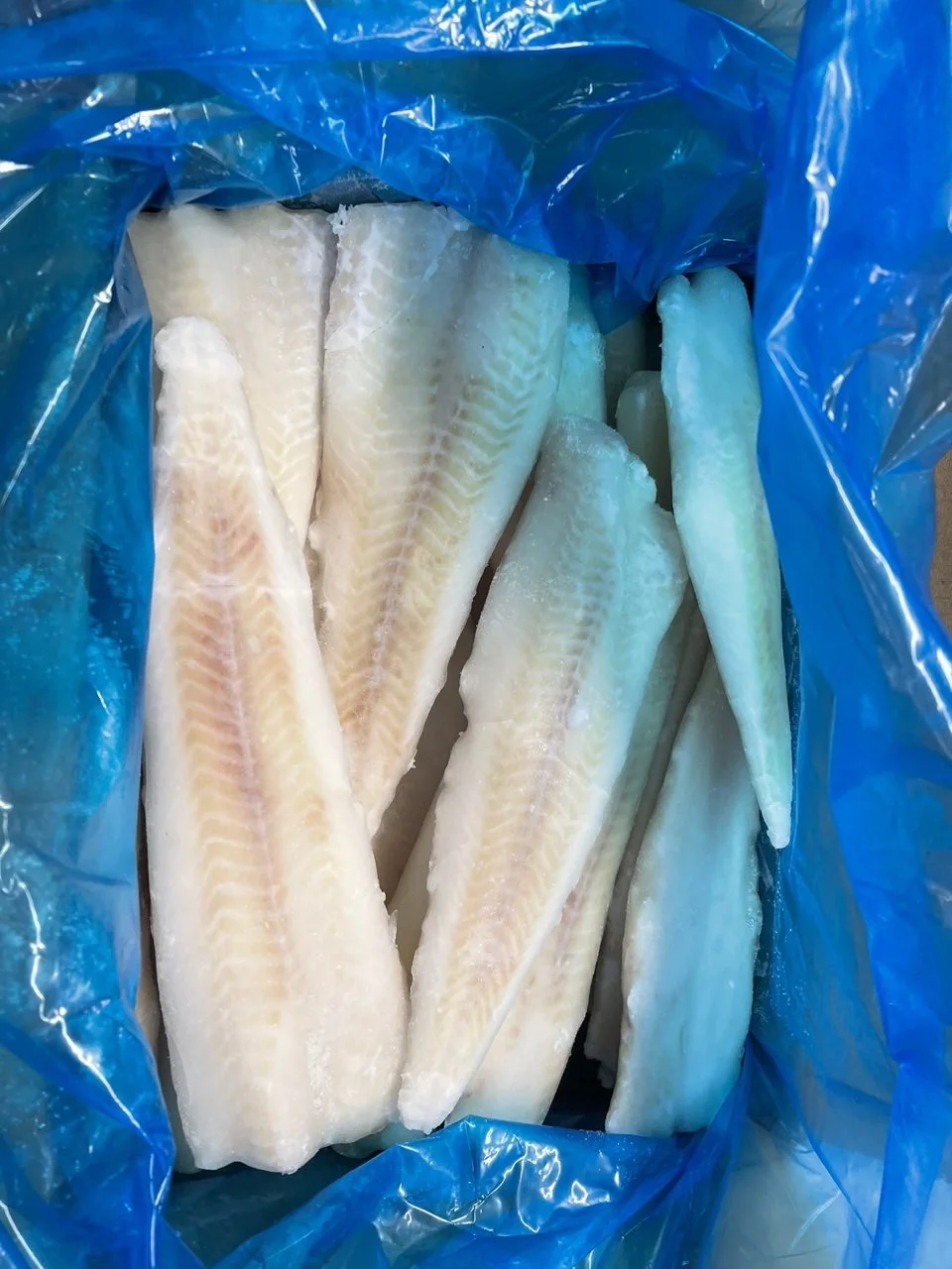 High Quality Frozen APO fillet China Frozen Alaska Pollock Fillet