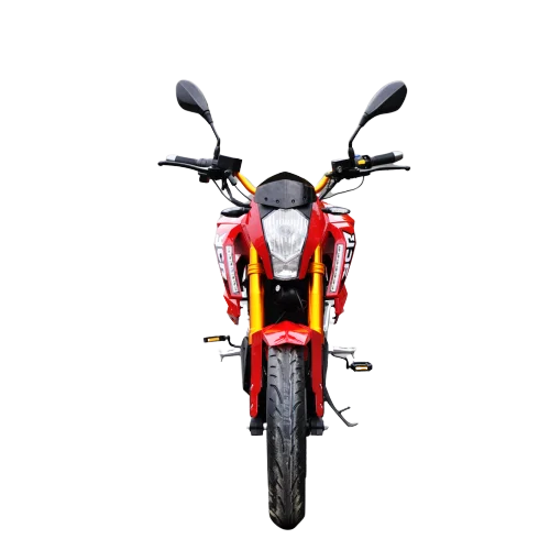 Professional manufacture powerful high speed electric motorcycle scooter 3000w citycoco electric scooter adult