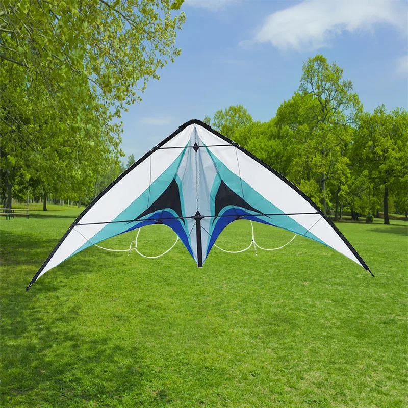 china factory dual line power kite sale delta kite from the kite factory