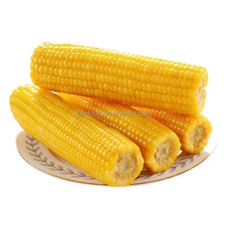 Direct Wholesale Good Quality Yellow Corn On Cob Fresh Sweet Corn