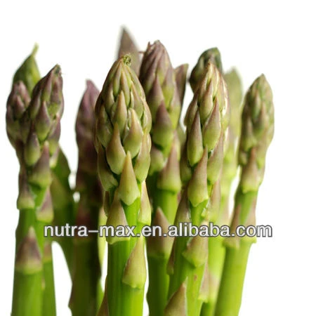 Высококачественный Экстракт корней спаржи порошок экстракт