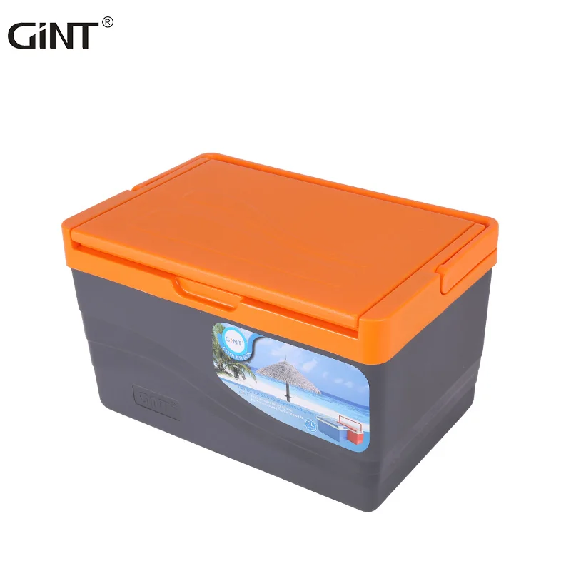 Портативный холодильник GINT, 5 л, мини-размер, оптовая продажа, китайские поставщики, охлаждающий контейнер хорошего качества