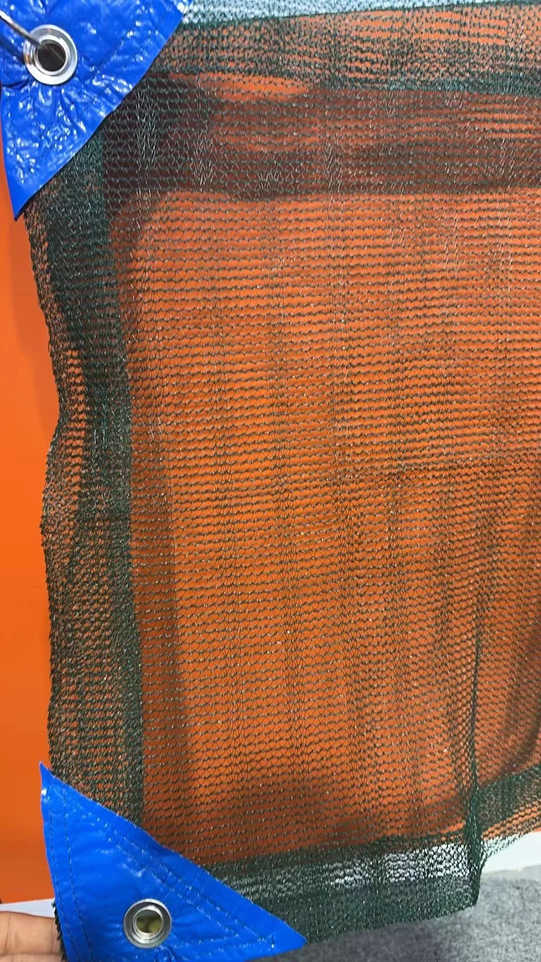 for fruit olive fruit walnut dark green olive net