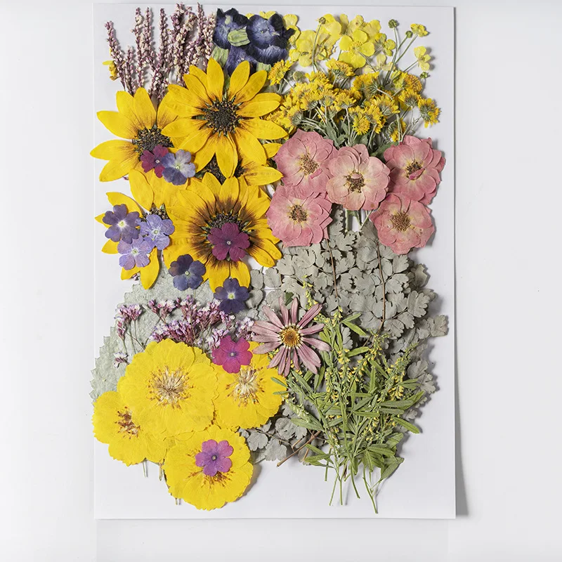 100 шт./упаковка прессованные сухие цветы для смолы