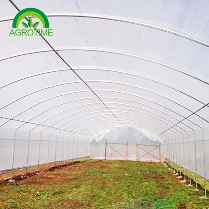 CHINA AGROTIME The commercial agricultural cheapest plastic tunnel greenhouses for sale