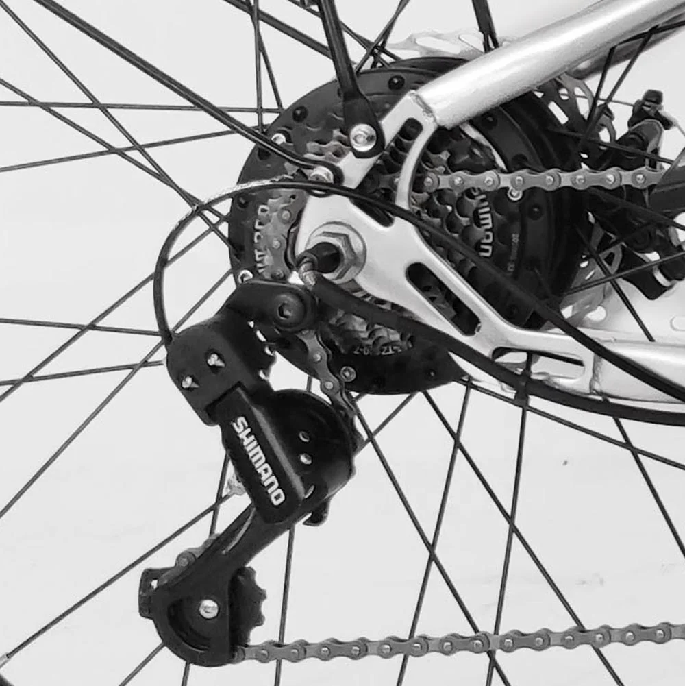 Factory Price 26 Inch Lithium Electric Bike 250W 350W 36V Li-ion Battery Pedal Assist E-bike with Disc Brake