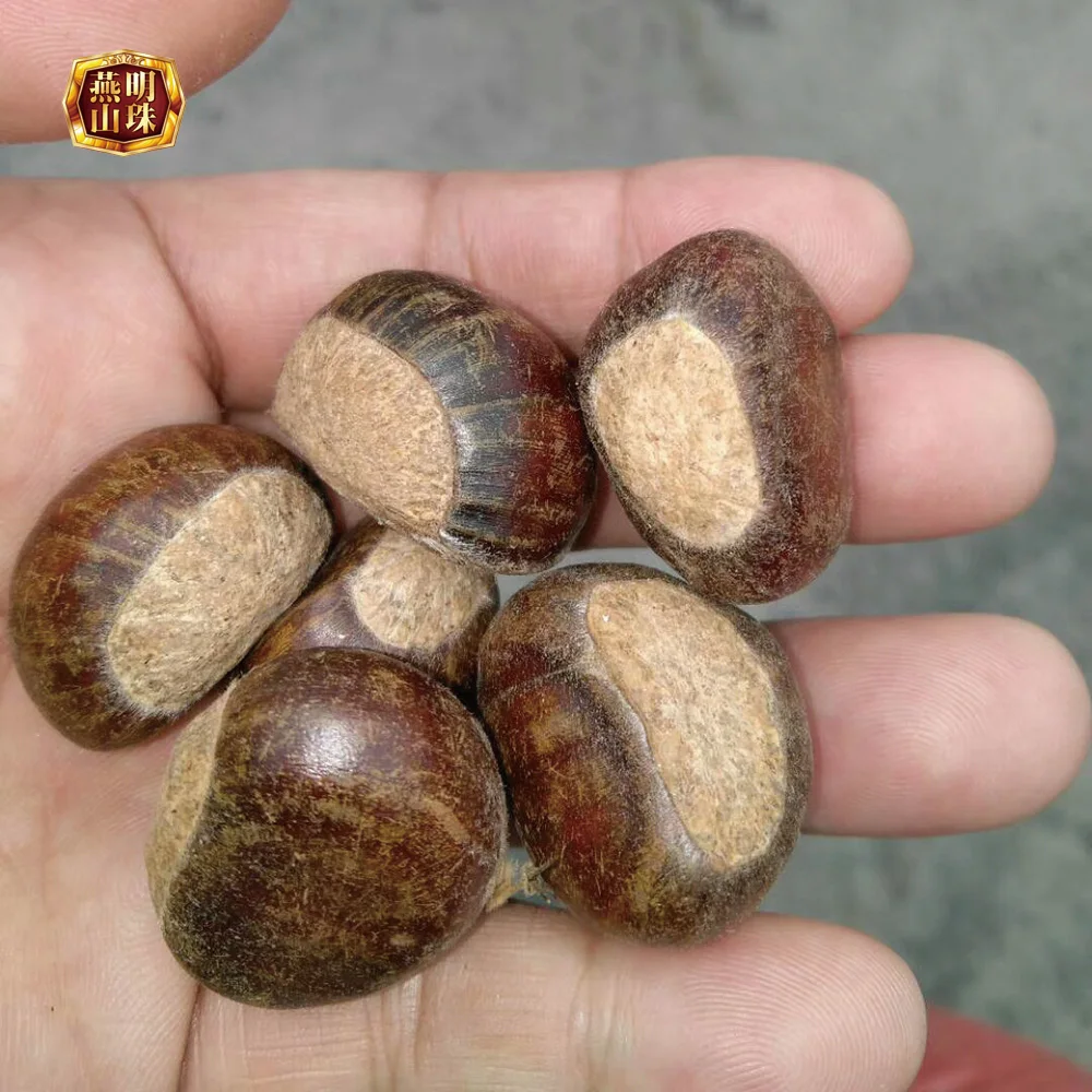 Fresh Sweet Yanshan Organic Chestnut With Shell