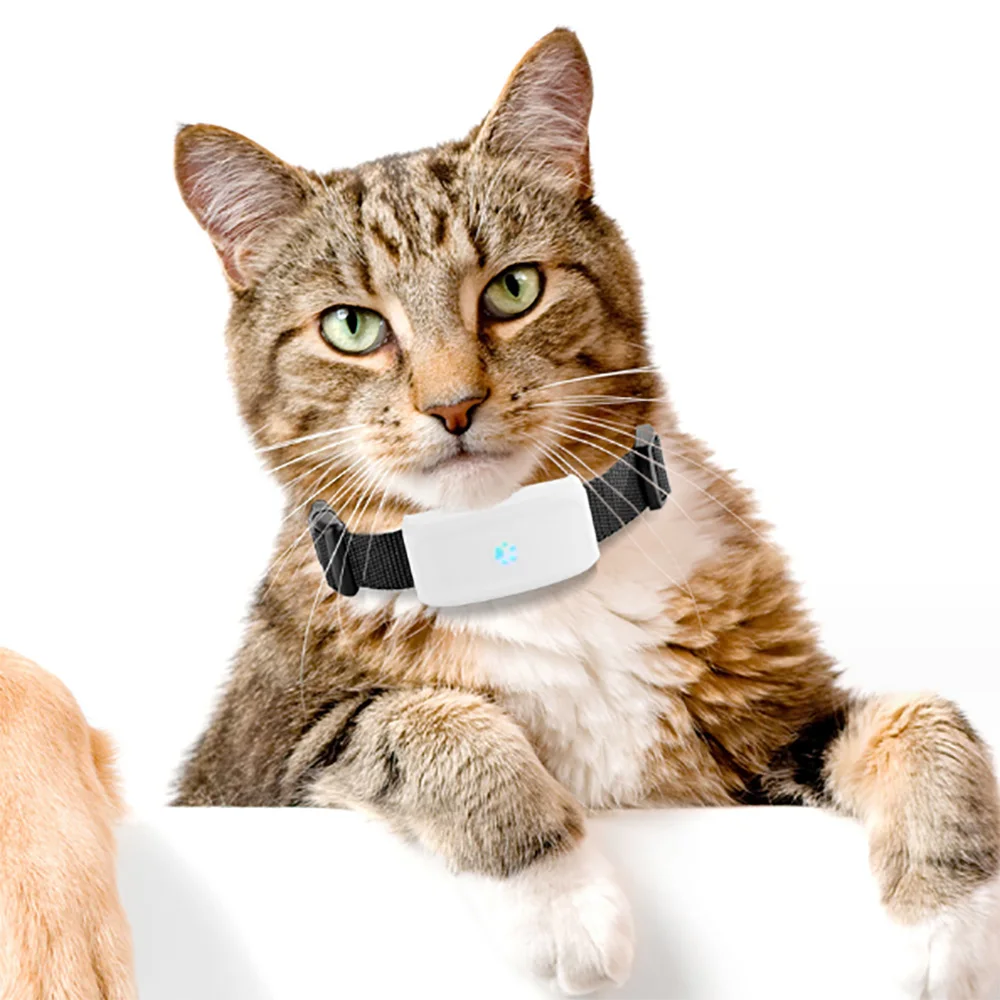 YHpet Waterproof Pet GPS tracker Localizer Led Dog Collar Tracking Cat Dog Collars