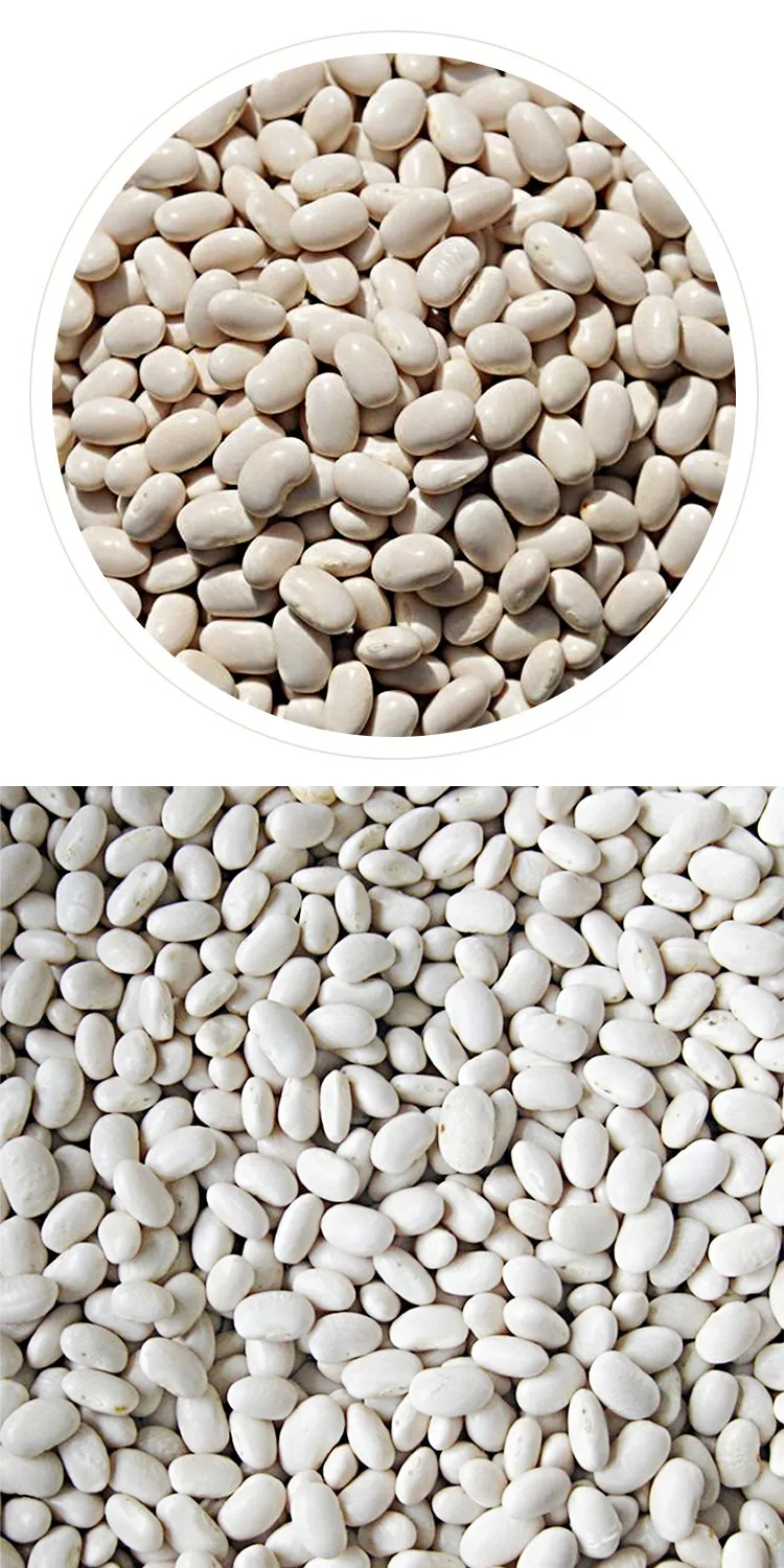 Новый Урожай высококачественной натуральной белой фасоли Среднего Типа