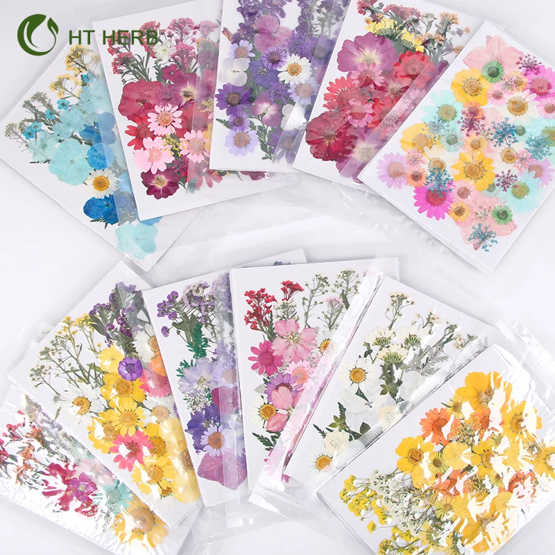 Hot Selling Dried Flowers Resin Jewelry Dry Flowers Plants Dried Pressed Flowers Natural for Resin Candle Material