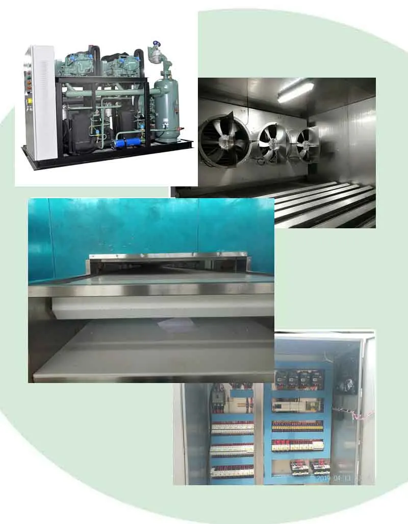 100kg/hour Best price and economical small iqf freezing tunnels machine