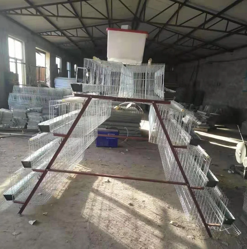 Hot sale layer chicken cage for Kenya/Nigeria/Tanzania/Uganda farm