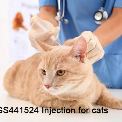 Best price  GS-441524 fip cat GS-441524 FIPV