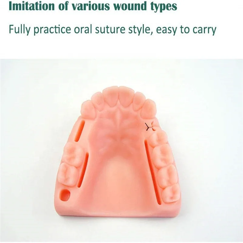 dental suture practise model