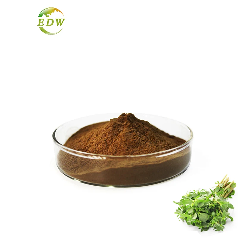 Bacopa Monnieri Monniera Scrophulariaceae Monnieri Extract Bacogenin Powder