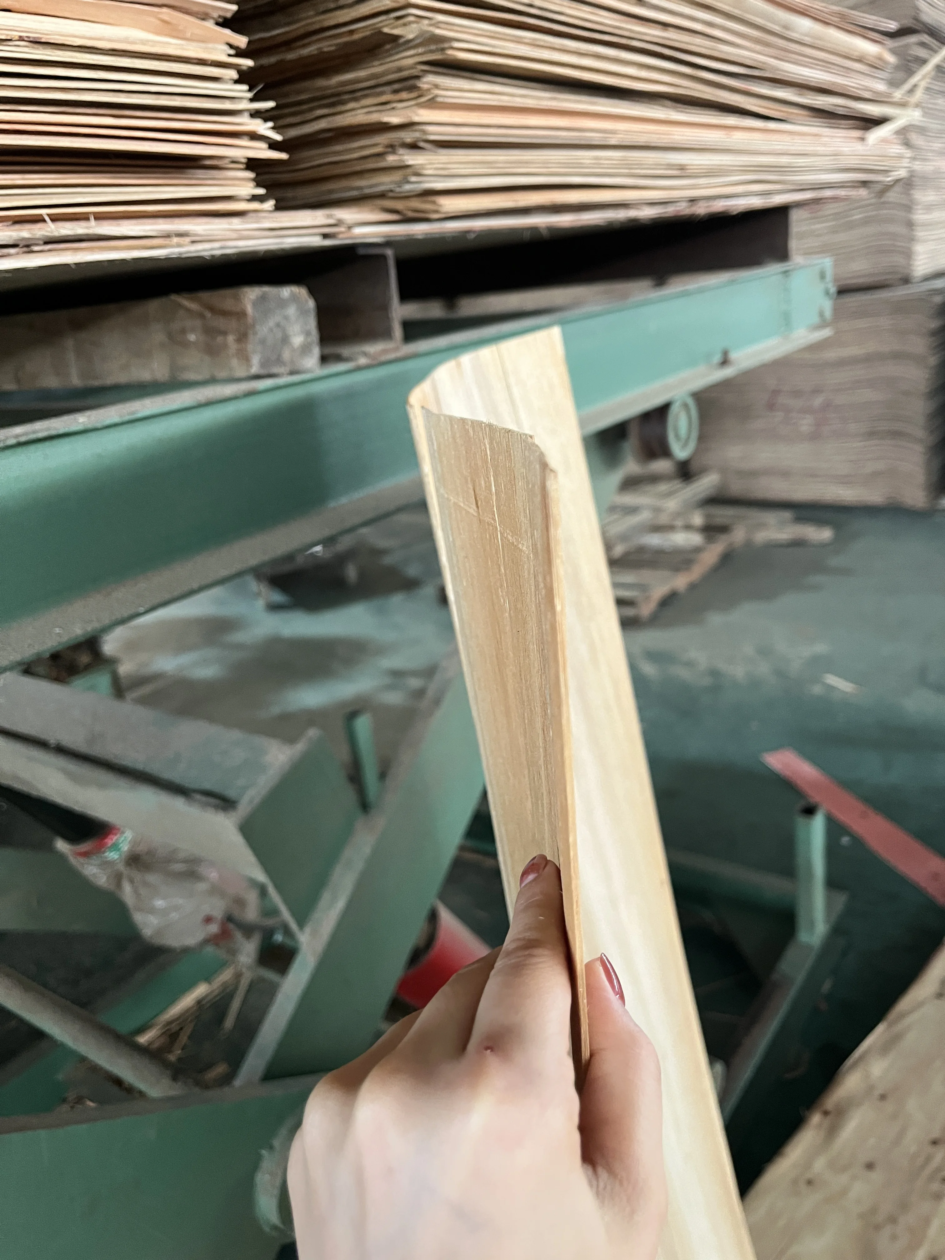 Vietnam Bitangor Commercial Plywood 18mm Melamine Veneer Board Poplar Birch Good Quality Modern Design E0 1-Year Hotels