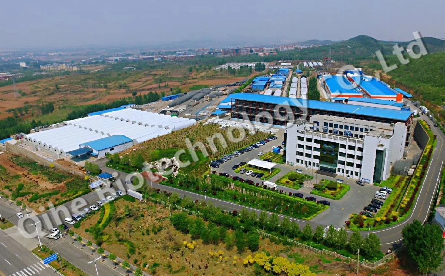 
oyster mushroom mycelium fertilizer bag for fruiting 