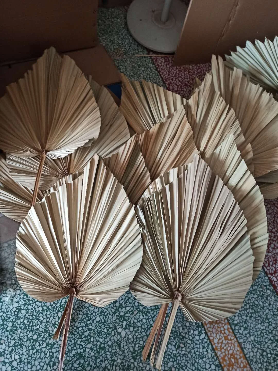 YAYUN W-3020 Wholesale Party Home Decoration Dried Palm Tree Leaves Spear