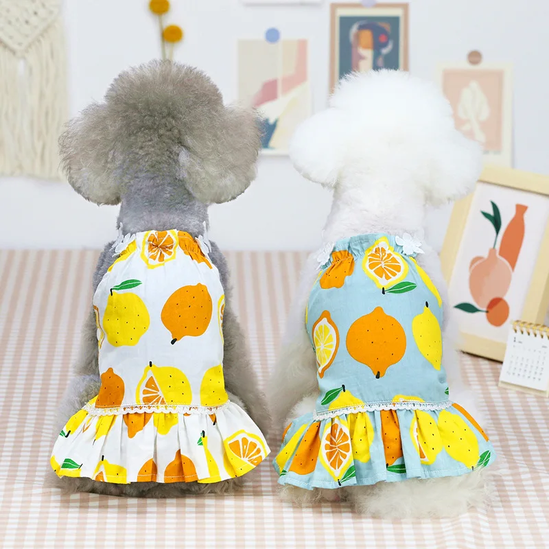 2021 Fashion Amazon hot sell Spring And Summer New Cat Dress Cute Small Dog Clothes