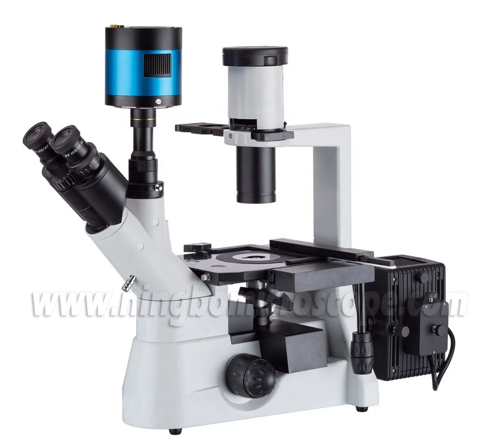 40x-1000x Trinocular Epi Fluorescence Medic Pathology Microscope