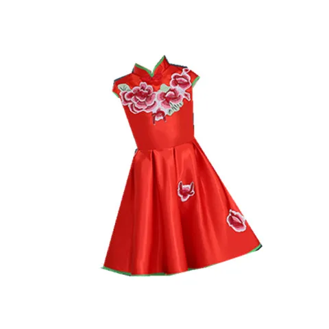 Fashion Sleeveless V-neck Latin Dance Dress Rumba skirt One Piece Stage Costume
