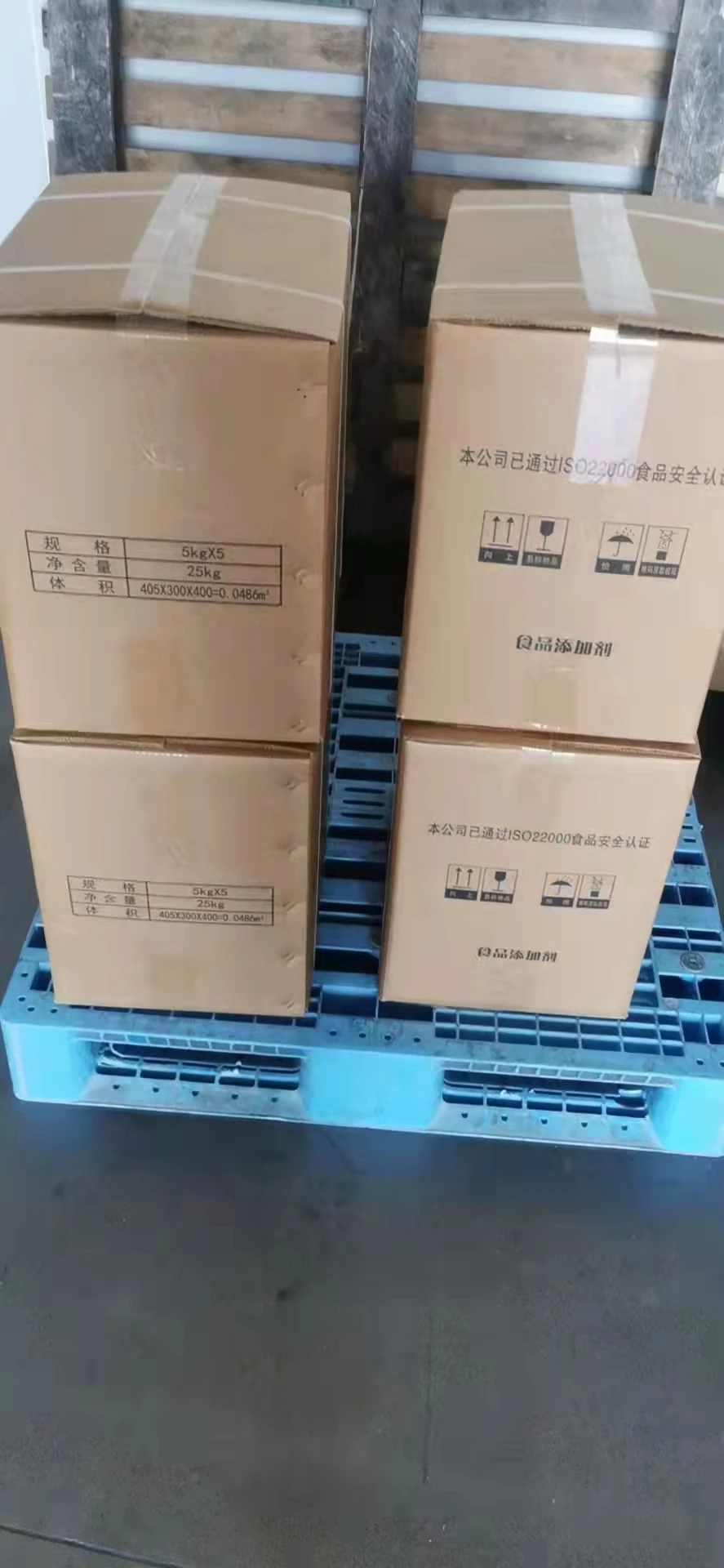 lactobacillus Yogurt Starter Culture for yogurt fermentation yogurt DIY