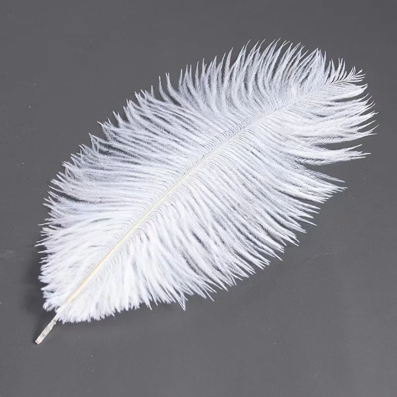 wholesale feather ostrich crafts supplier full size 20-80 cm natural colorful white black ostrich feather trim