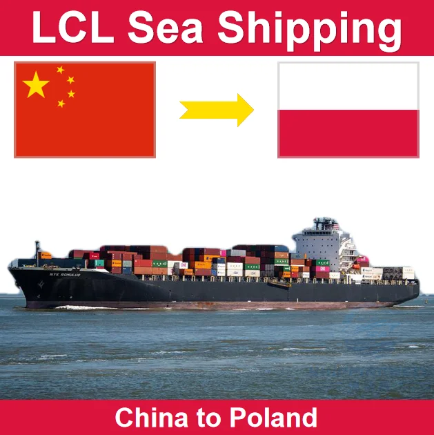 LCL From Shenzhen Guangzhou Shanghai Ningbo China to Poland Sea Freight Shipping by Door to Door and Customs Clearance Services
