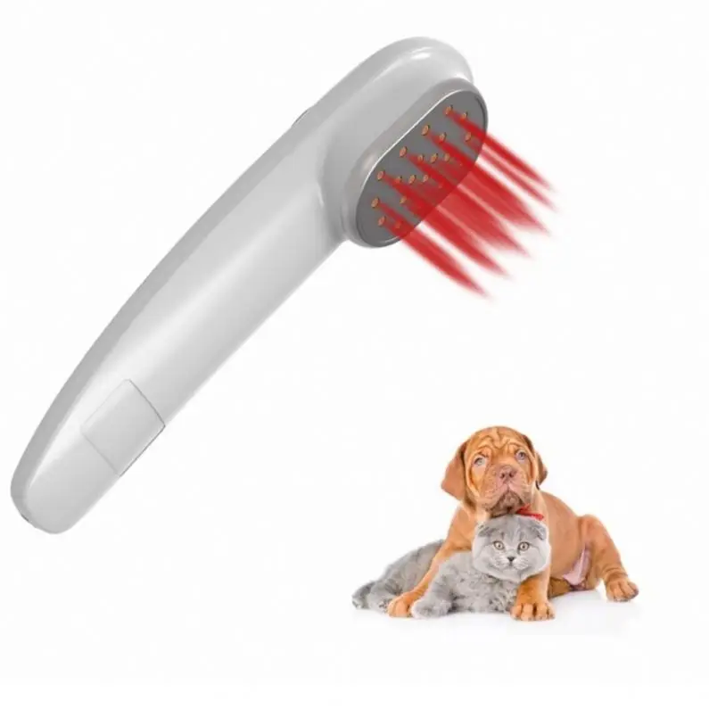 808nm 650nm  Portable Type C USB port Vet Laser Therapy Treatments Device for Arthritic Dogs Cats Pet