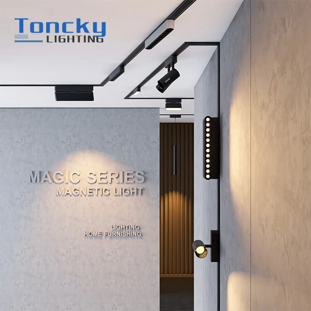 2024 Free Sample Low Voltage 24v 48v Smart Magnetic Light System 2 Circuit Track Lighting