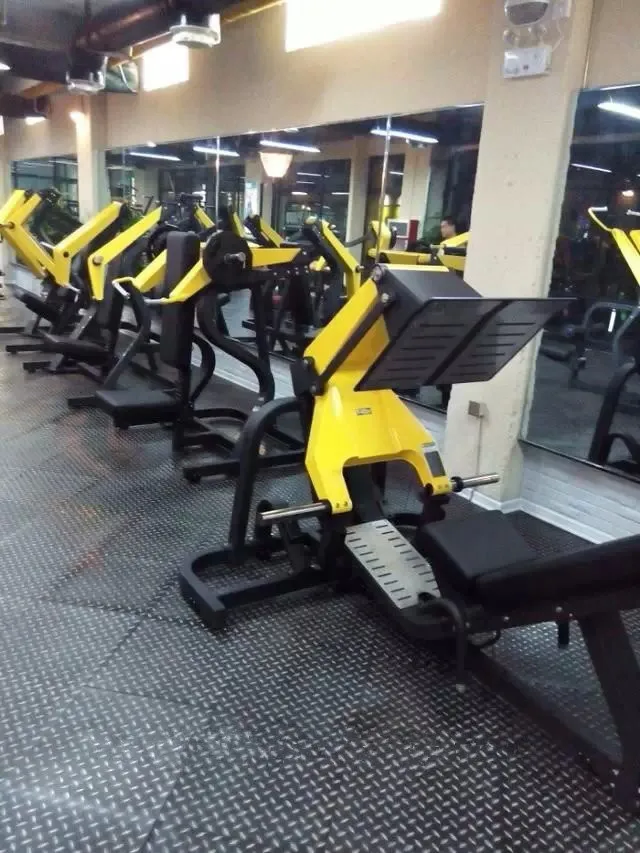  New Design Gym Home Use Plate Loaded Hammer Strength Exercise Chest