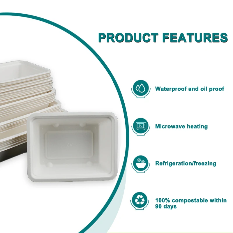 OEM Logo Full Size Disposable Snack Fast Food Box Tray Sugarcane Bagasse Container Waffle Hotdog Take out Snack Tray
