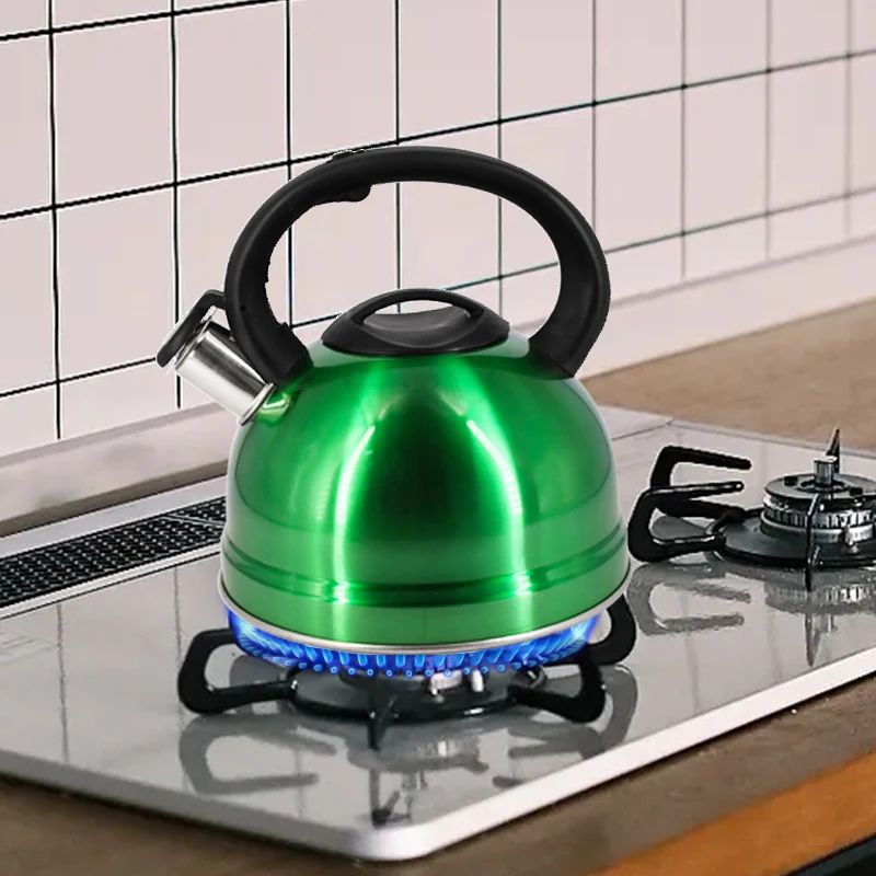 Home Kitchen Whistling Tea Kettle Stove top Stainless Steel Water Tea Pot with Color Painting Whistle Kettle
