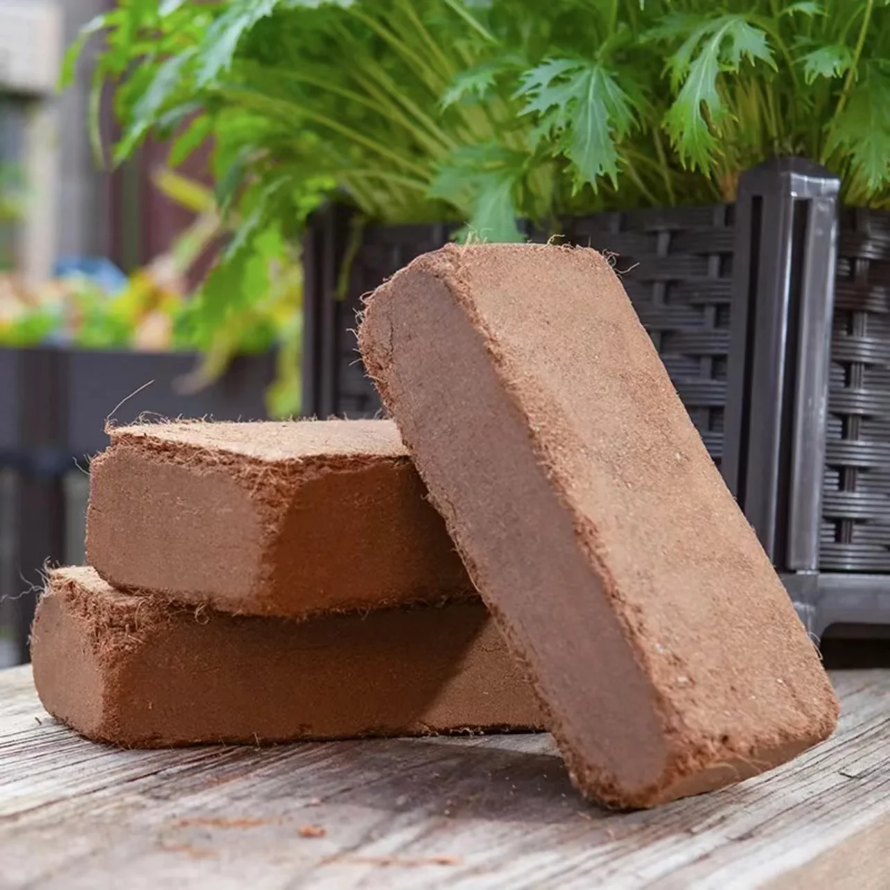 Hot Sale Coco Coir Coco Peat Low EC 650g Brick