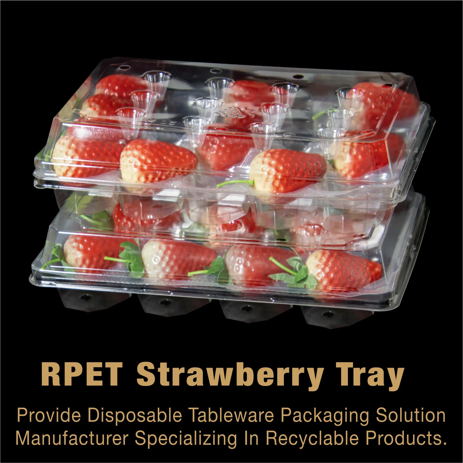 RPET Grape Strawberry Boxes Food Grade Recyclable Disposable Fruit Food Packaging Fruit Clamshells Plastic Box Blister Box