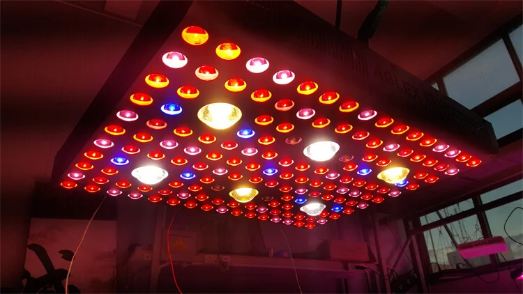AGLEX COB LED Pant Grow Light VEG BLOOM 3400K 6500K Commercial 3000W LED Grow Lights Full Spectrum Double Switches