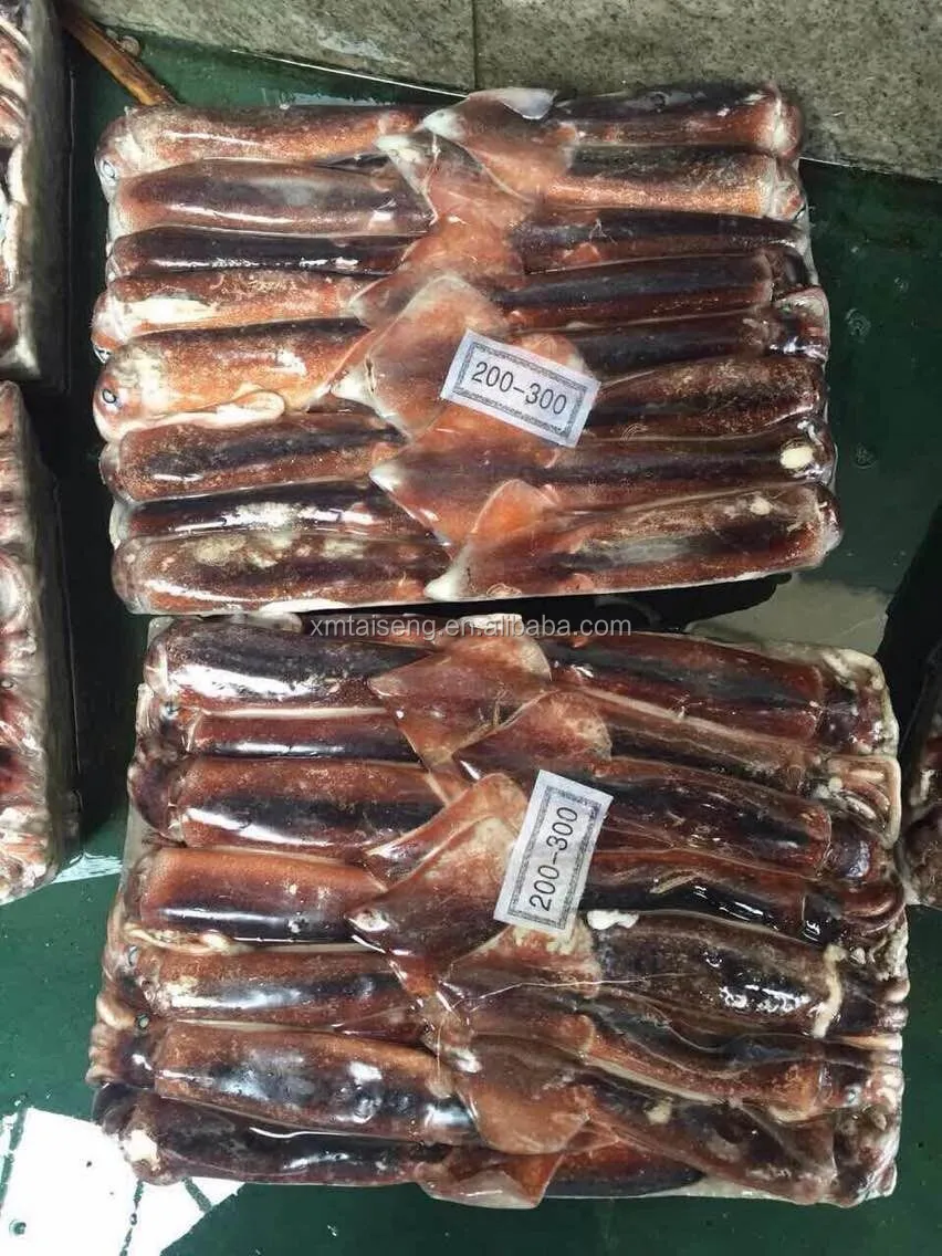 Low price fresh sea frozen ocean squid illex whole round squid frozen raw squid