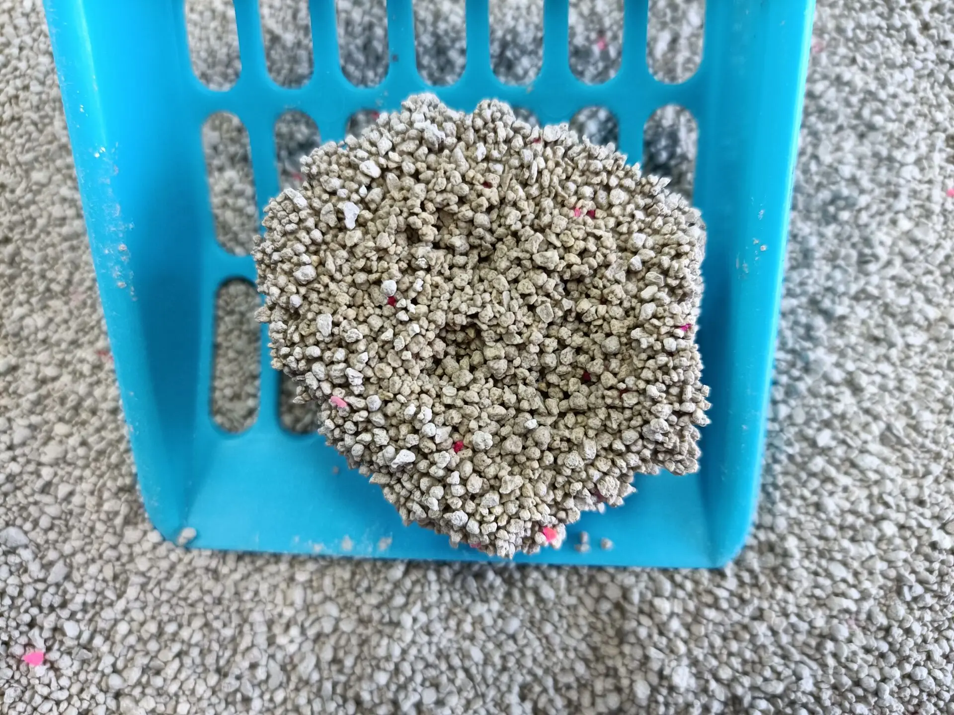 Professional Label Test 100% Dust Free Bentonite Cat Sand Wholesale Free Samples Supplied Cat Litter