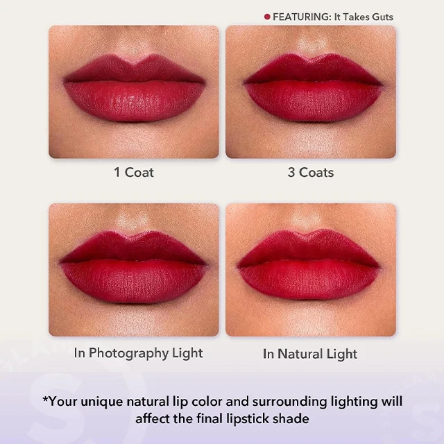 Waterproof Matte Lipstick Long Lasting Transfer Proof Lip Stick - A Bold Plan