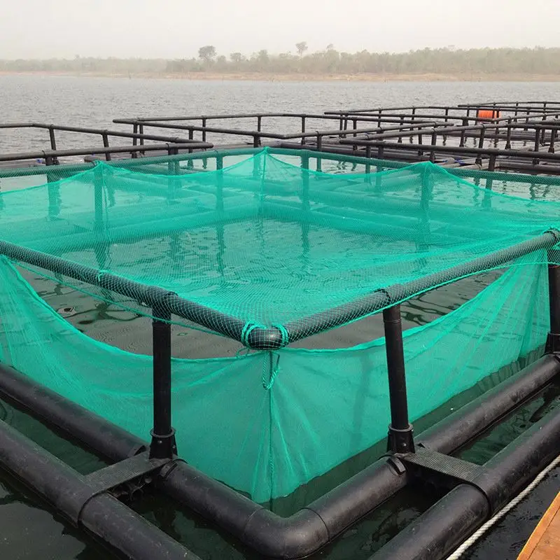 Fish Farming Cage Net for Rohu Fish