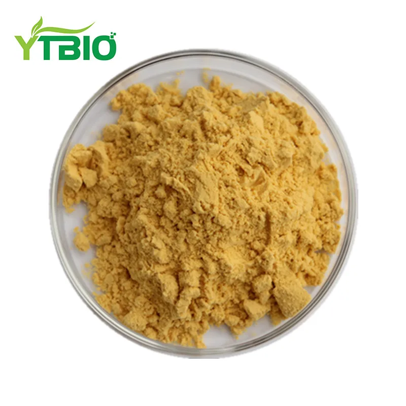 
YTBIO Water Soluble Pumpkin Extract Juice Powder 