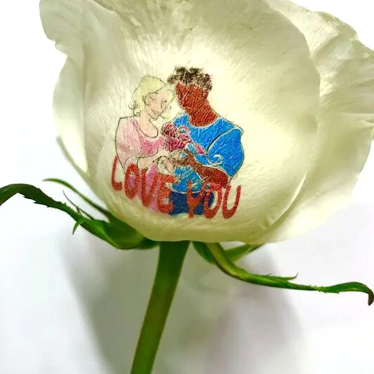 Nailgogo Hot Sale Digital Flower Printer Speaking Rose Printer